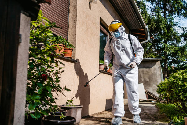 Best Bed Bug Extermination  in Alamo, TN