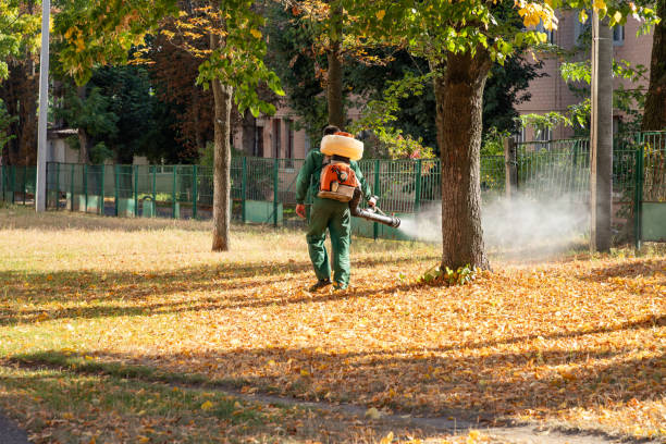 Best Best Pest Control Companies  in Alamo, TN