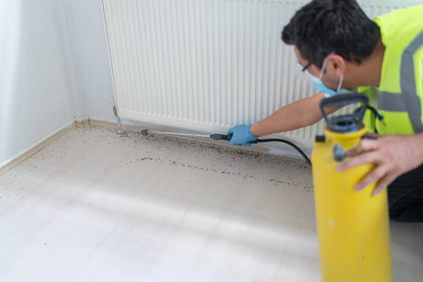 Best Best Pest Control Companies  in Alamo, TN